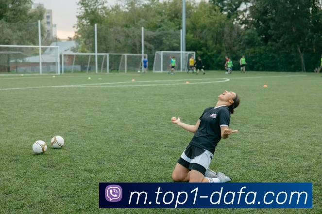 大发官网发展历程